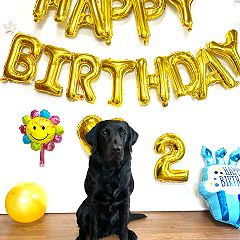 33位のイメージ