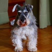 55位のイメージ