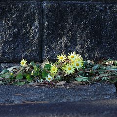 147位のイメージ