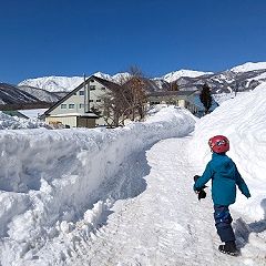 13位のイメージ