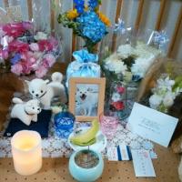 15715位のイメージ