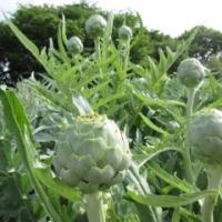 13位のイメージ