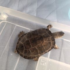 25位のイメージ