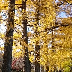 48位のイメージ