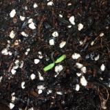 89位のイメージ