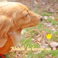 79位のイメージ