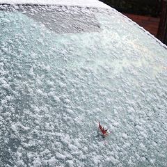 101位のイメージ