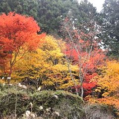 49位のイメージ