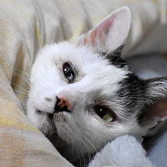 116位のイメージ