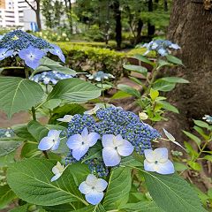 40位のイメージ