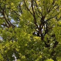 196位のイメージ