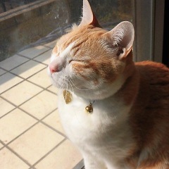 26位のイメージ