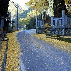 173位のイメージ