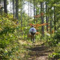 140位のイメージ