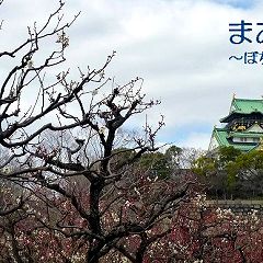 27位のイメージ