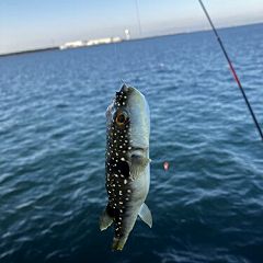 23位のイメージ