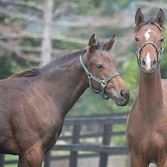 186位のイメージ