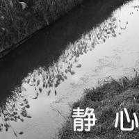 102位のイメージ