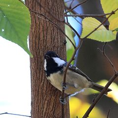 117位のイメージ