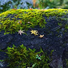 20位のイメージ