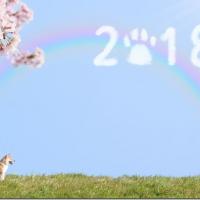 13882位のイメージ