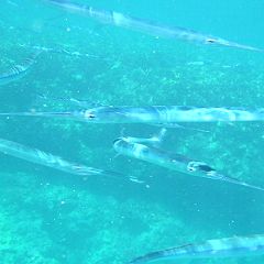 2341位のイメージ