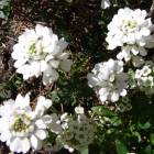 1232位のイメージ