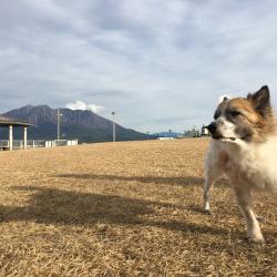 1438位のイメージ