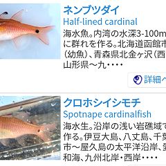 779位のイメージ