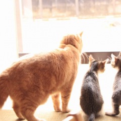 147位のイメージ