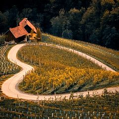 94位のイメージ