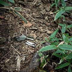 44位のイメージ