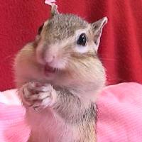 14位のイメージ