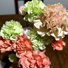 39位のイメージ