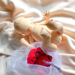 20位のイメージ