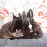 18位のイメージ