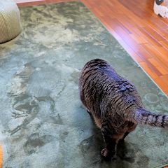 27位のイメージ