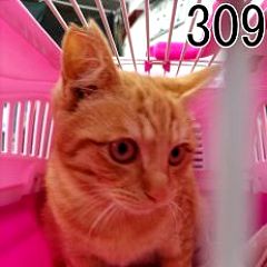 14位のイメージ