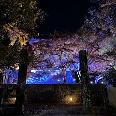 143位のイメージ