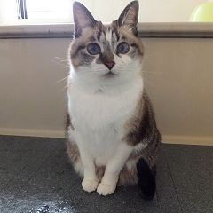 13769位のイメージ