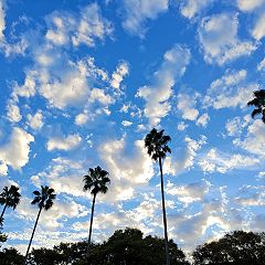 54位のイメージ