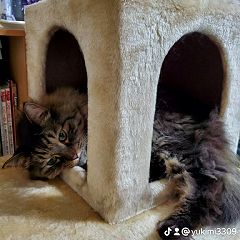 29447位のイメージ