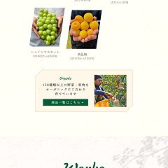 55位のイメージ