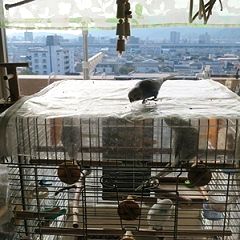 10位のイメージ