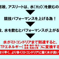 34位のイメージ