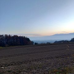 14位のイメージ