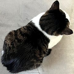 1934位のイメージ