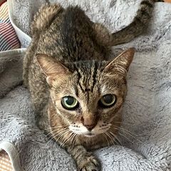 27位のイメージ