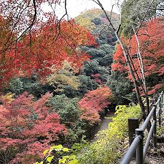 48位のイメージ