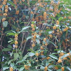 94位のイメージ